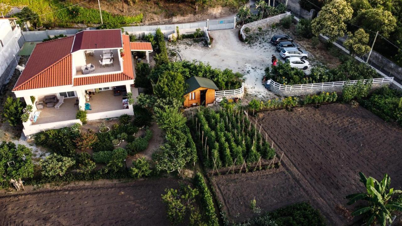 Michelino House Bed & Breakfast Parghelia Exterior photo